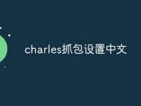 charles抓包设置中文-路由网