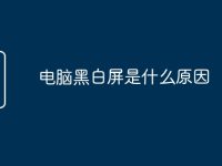 电脑黑白屏是什么原因-路由网