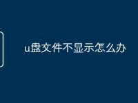 u盘文件不显示怎么办-路由网