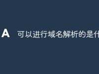 可以进行域名解析的是什么-路由网