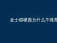 金士顿硬盘为什么不推荐-路由网