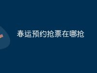 春运预约抢票在哪抢-路由网
