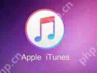 iTunes无法启动怎么办-路由网