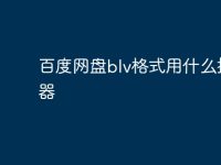 百度网盘blv格式用什么播放器-路由网