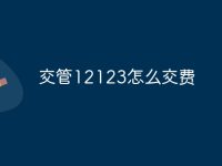 交管12123怎么交费-路由网