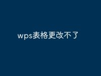 wps表格更改不了-路由网
