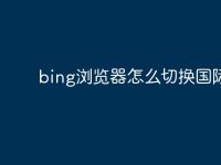 bing浏览器怎么切换国际版-路由网