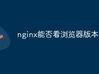 nginx能否看浏览器版本-路由网