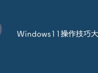 Windows11操作技巧大全-路由网