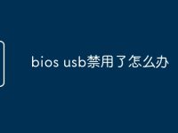 bios usb禁用了怎么办-路由网