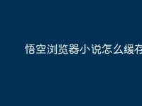 悟空浏览器小说怎么缓存-路由网