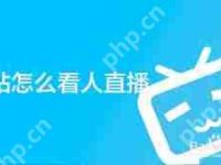 b站如何观看他人直播-路由网