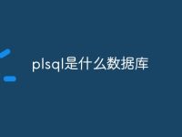 plsql是什么数据库-路由网