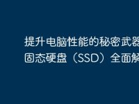提升电脑性能的秘密武器:固态硬盘(SSD)全面解析-路由网