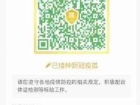 支付宝如何查询疫苗接种记录-路由网