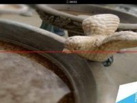 fedora21系统怎么把英语改变中文?-路由网