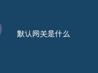 默认网关是什么-路由网