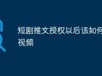 短剧推文授权以后该如何制作视频-路由网