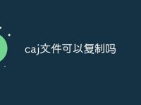caj文件可以复制吗-路由网