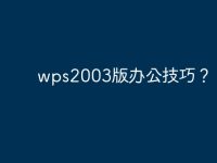 wps2003版办公技巧?-路由网