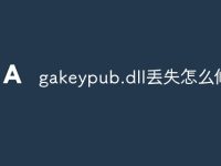 gakeypub.dll丢失怎么修复-路由网