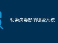 勒索病毒影响哪些系统-路由网