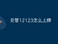 交管12123怎么上牌-路由网