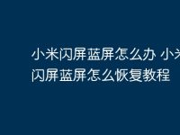 小米闪屏蓝屏怎么办 小米12闪屏蓝屏怎么恢复教程-路由网