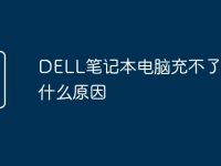 DELL笔记本电脑充不了电是什么原因-路由网