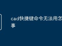cad快捷键命令无法用怎么回事-路由网