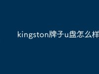 kingston牌子u盘怎么样-路由网