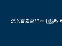 怎么查看笔记本电脑型号?-路由网