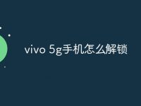 vivo 5g手机怎么解锁-路由网