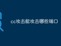 cc攻击能攻击哪些端口-路由网