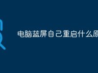 电脑蓝屏自己重启什么原因-路由网