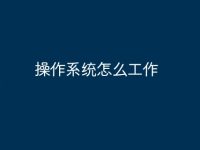 操作系统怎么工作-路由网