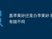 黑苹果好还是白苹果好 两者有啥不同-路由网