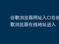谷歌浏览器网址入口在线 谷歌浏览器在线地址进入-路由网