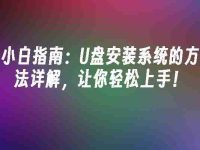 小白指南：U盘安装系统的方法详解，让你轻松上手！-路由网