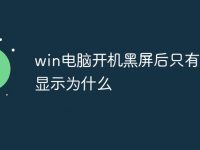 win电脑开机黑屏后只有鼠标显示为什么-路由网