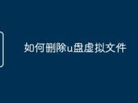 如何删除u盘虚拟文件-路由网