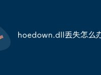 hoedown.dll丢失怎么办-路由网