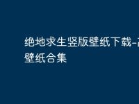 绝地求生竖版壁纸下载-高清壁纸合集-路由网