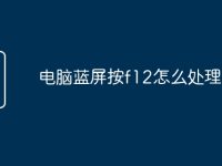 电脑蓝屏按f12怎么处理-路由网