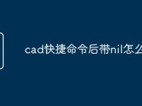 cad快捷命令后带nil怎么处理-路由网