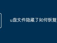 u盘文件隐藏了如何恢复-路由网