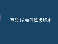苹果16如何降级版本-路由网