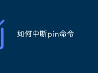 如何中断pin命令-路由网