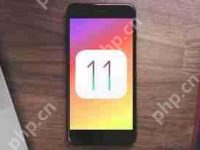 iPhone15如何屏蔽系统更新-路由网