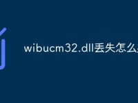 wibucm32.dll丢失怎么办-路由网